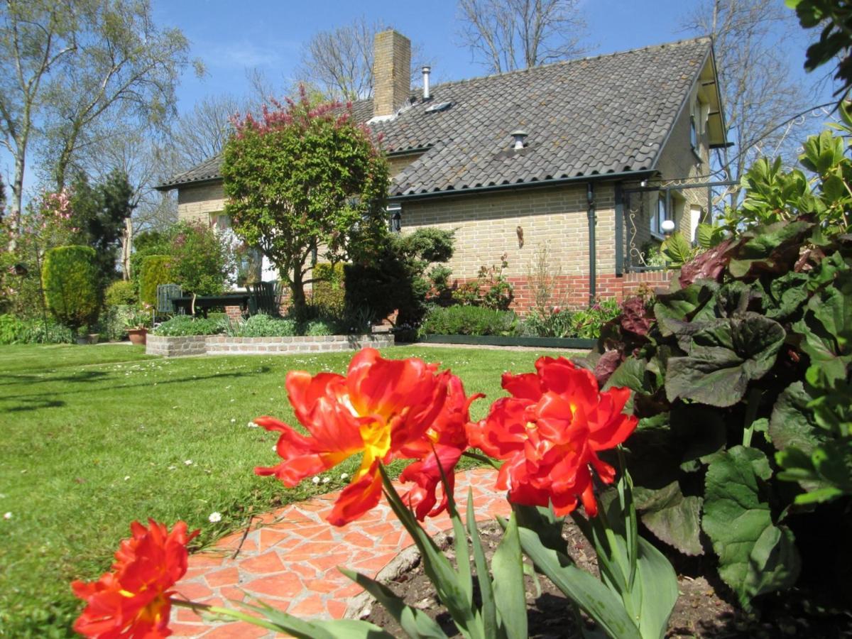 B&B Elbahof, Goed En Goedkoop! Hem Eksteriør bilde